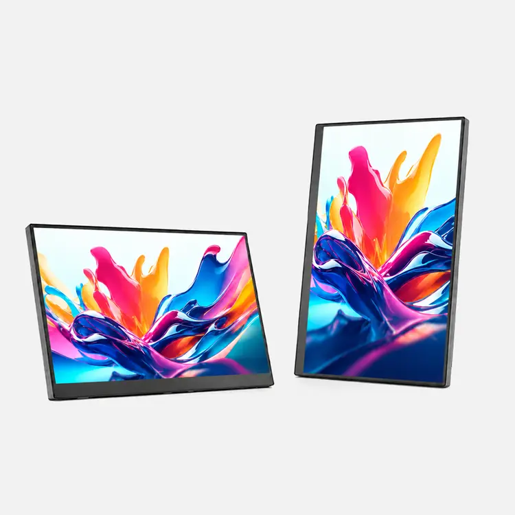 P156 Portable Monitor (2)