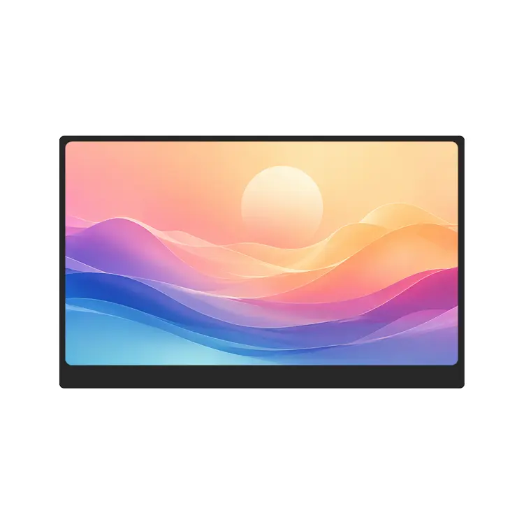 P156B Portable Monitor (3)
