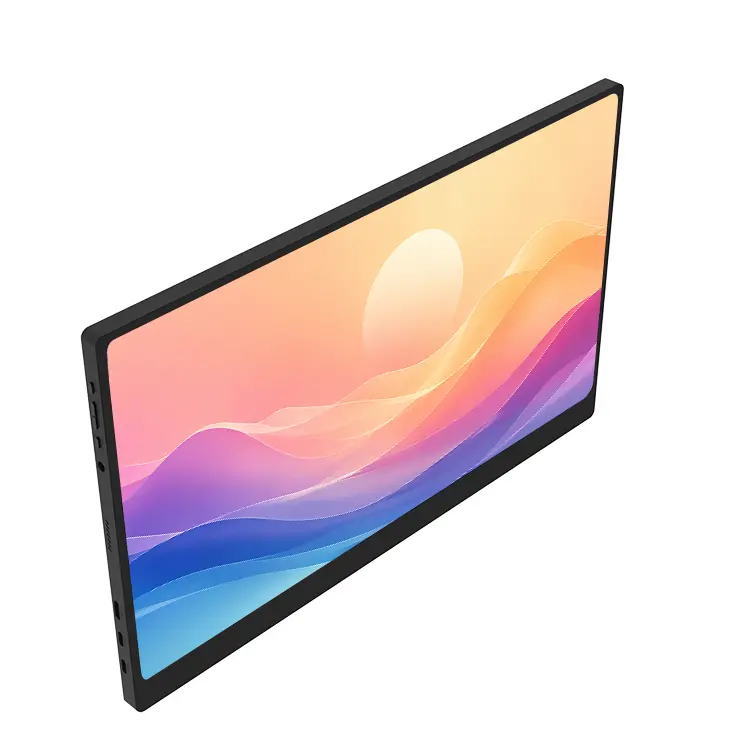 P156B Portable Monitor (8)