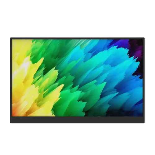 P150 portable monitor (2)