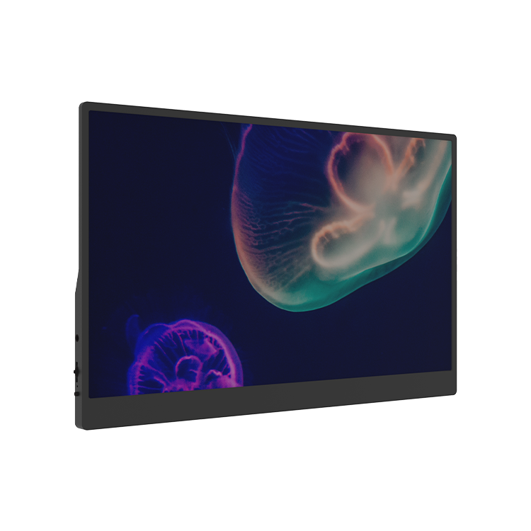 P150T Portable Monitor 02