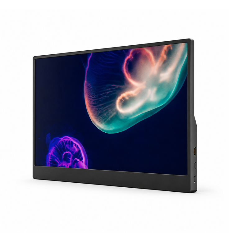 P150T Portable Monitor 05