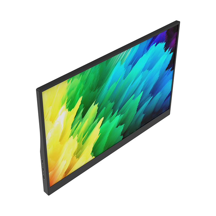 P160A Portable Monitor 02