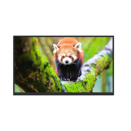 P185 Portable Monitor 04
