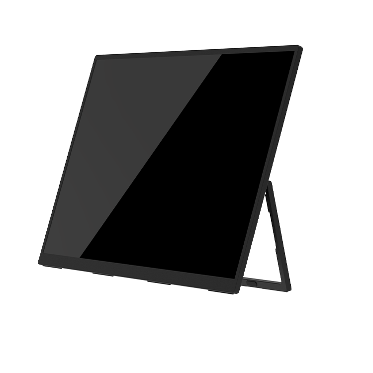 P238 Portable Monitor 03
