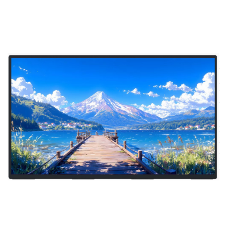 P238 Portable Monitor 05